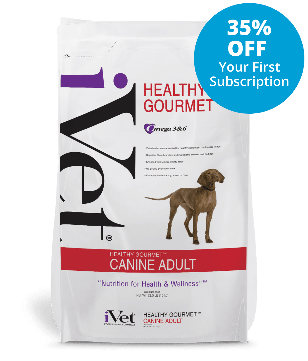 Healthy Gourmet™ Canine Adult