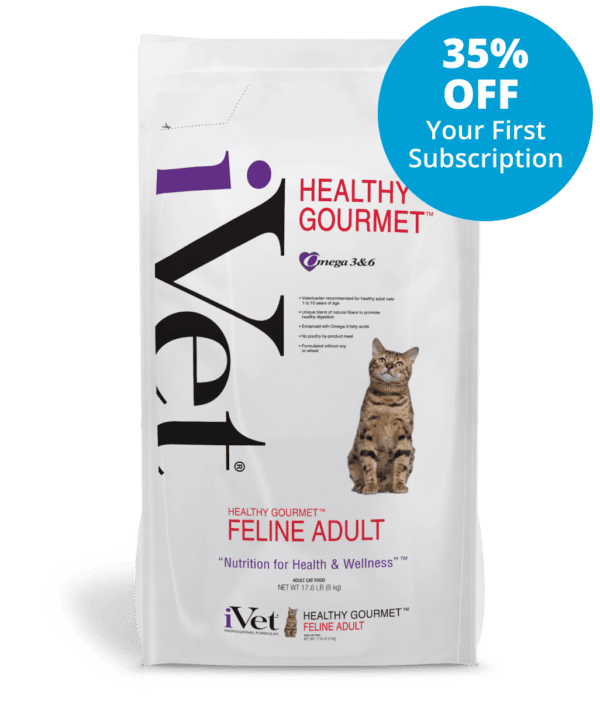 Healthy Gourmet Feline Adult Front (1)