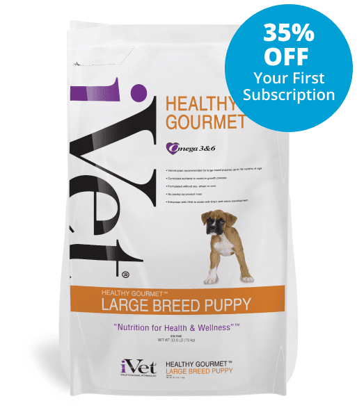Healthy Gourmet Large Breed Puppy Offer