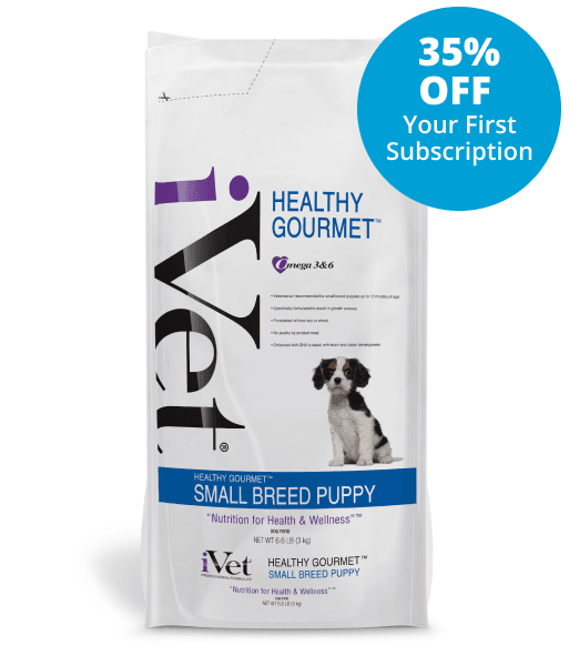 Healthy Gourmet Small Breed Puppy Offer
