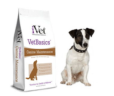 VetBasics-Maintenance-Bag-withDogs