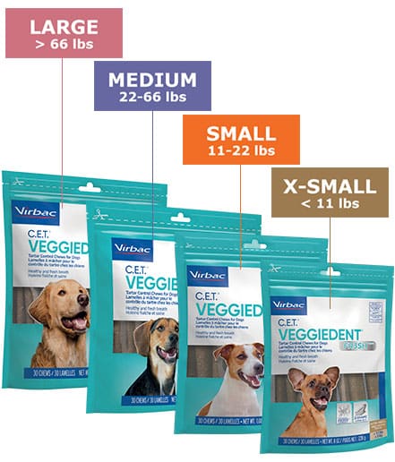 VEGGIEDENT FR3SH Product Lineup