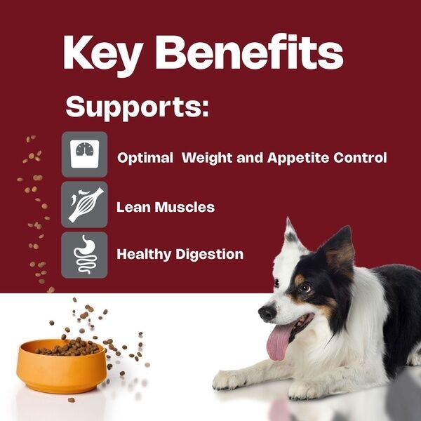 Adult Large Dog HPM Key Benefits