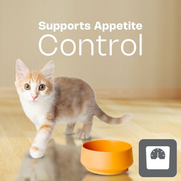 Junior Cat HPM Appetite Control