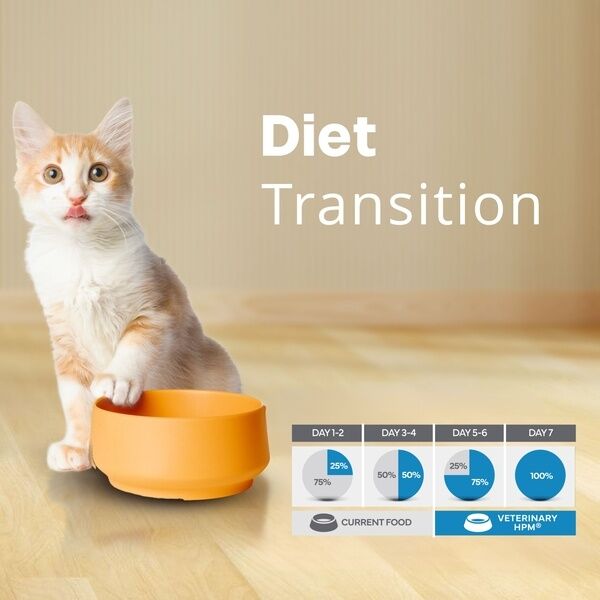 Junior Cat HPM Diet Transition