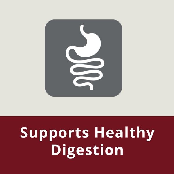 Junior Large Medium Dog HPM Healthy Digestion