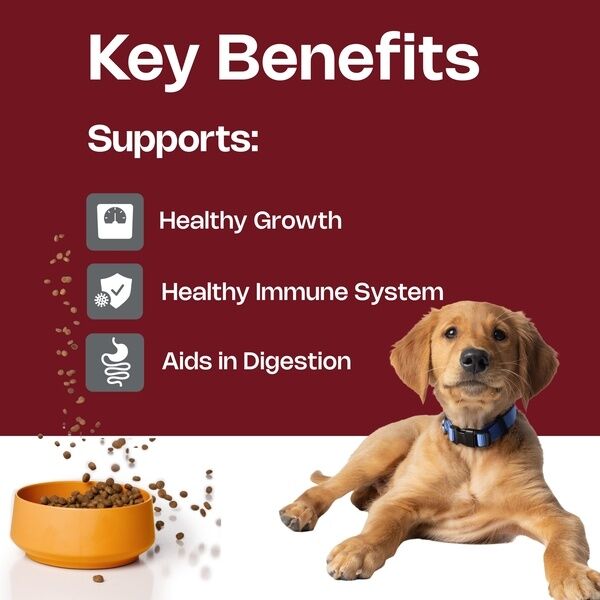 Junior Large Medium Dog HPM Key Benefits
