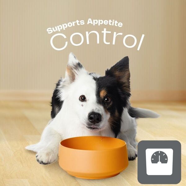 Large Medium Dog HPM Appetite Control