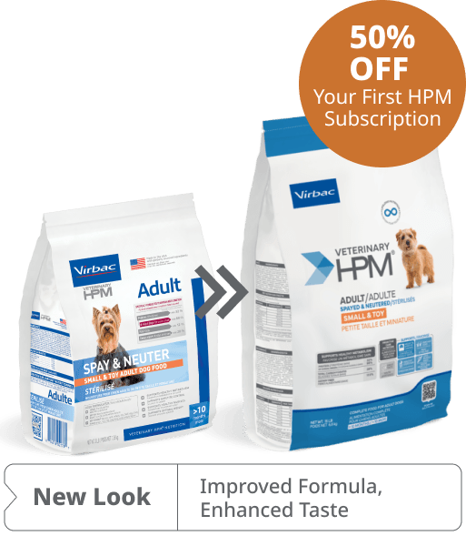 Toy Adult Dog New Look