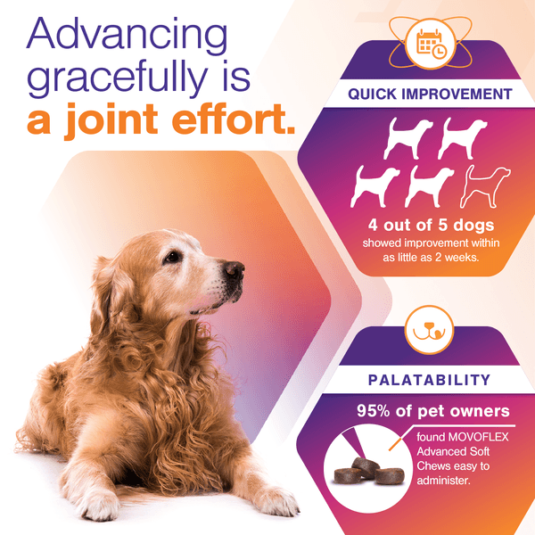 7_ADV MOVOFLEX SMALL STACK