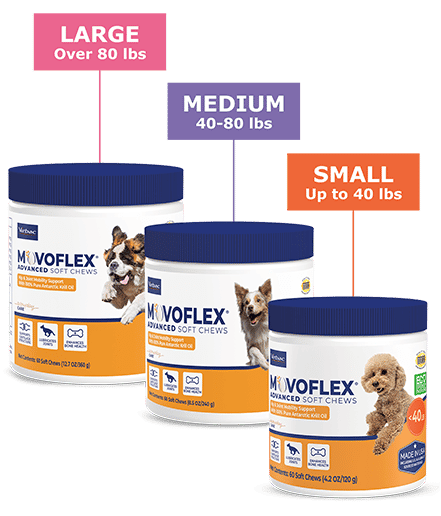 MOVOFLEX-LineUp_update