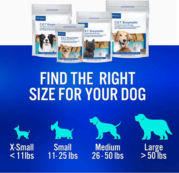 CET-Enzymatic-Lineup