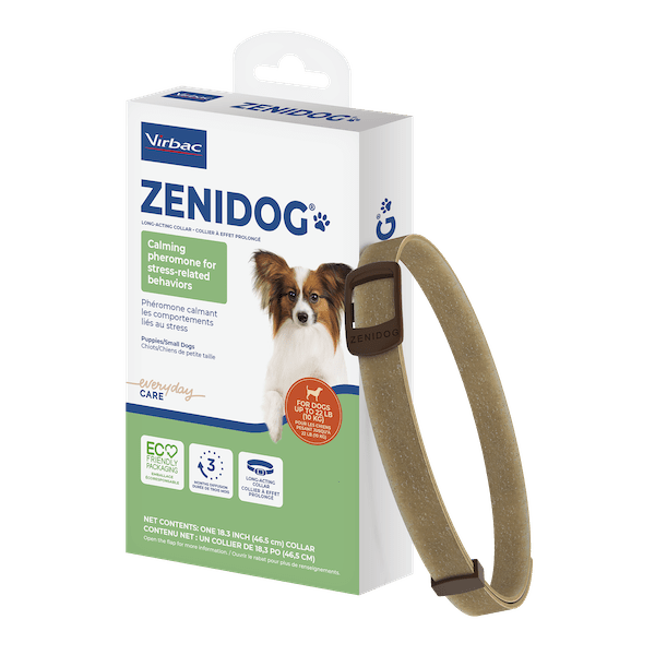 TP_Packshot_Zenidog_COL-x1-S-M_US_right