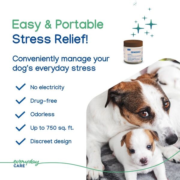 Zenidog Gel Diffuser 27