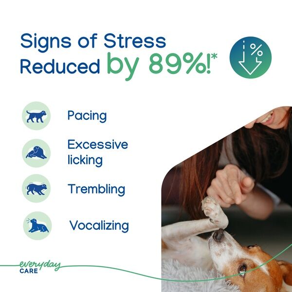 Zenidog Gel Diffuser 35