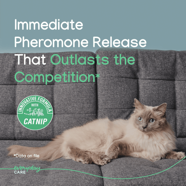 VBC 19925 Image 2_Zenifel Gel Diffuser 32