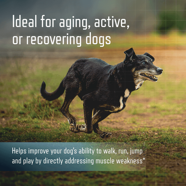 VBC-20032 Ursolyx Slide 4