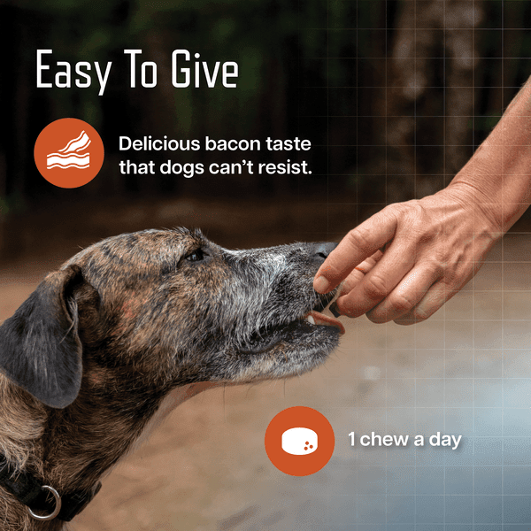 VBC-20032 Ursolyx Slide 5