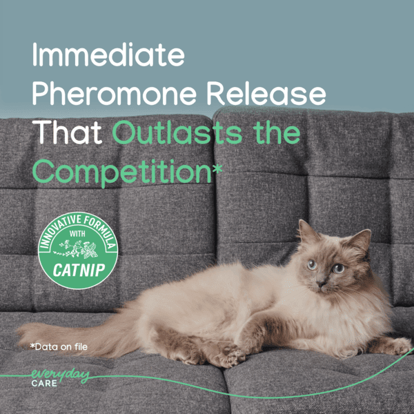 VBC 19925 Image 2_Zenifel Spray 60ml 34