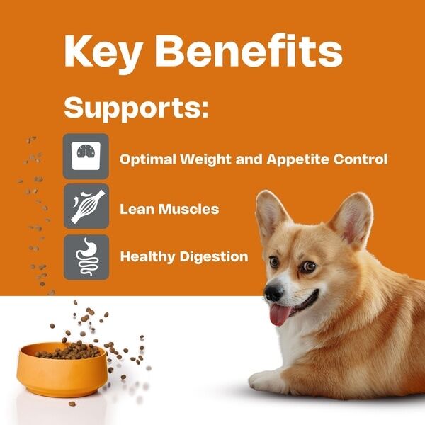 Adult Small Dog – HPM – Key Benefits
