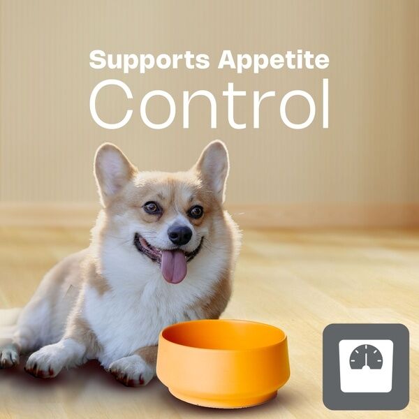 Adult Small Toy Dog HPM Appetite Control
