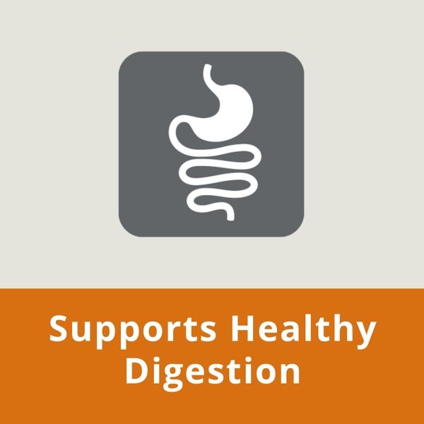 Adult Small Toy Dog HPM Healthy Digestion