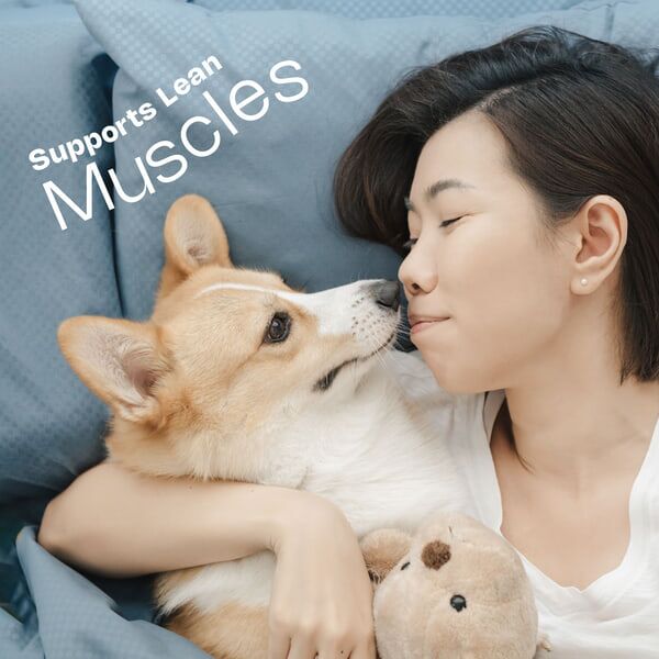 Adult Small Toy Dog HPM Lean Muscles