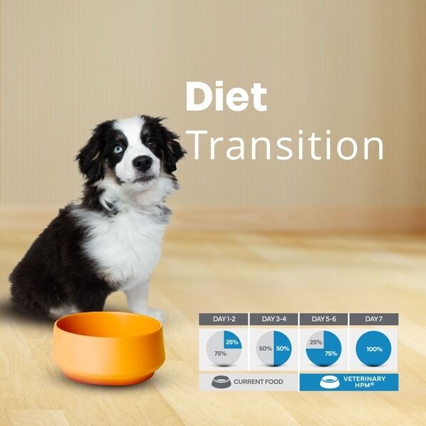 Junior Small Toy Dog HPM Diet Transition