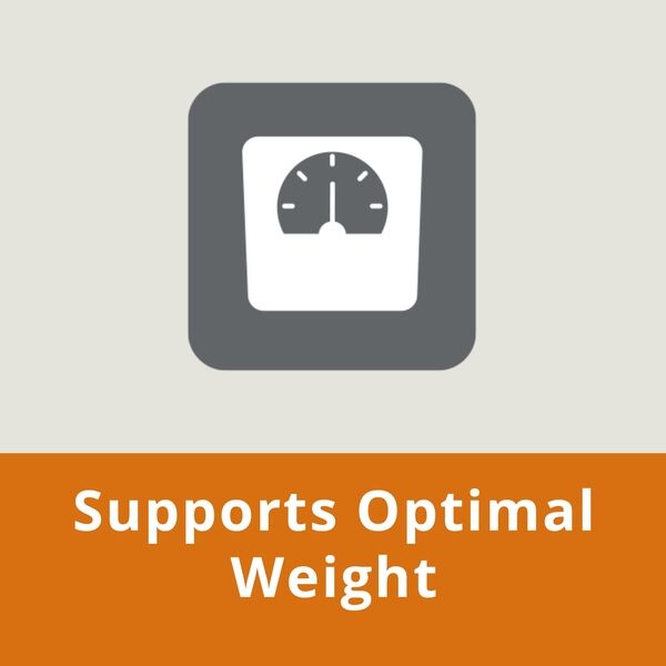 Junior Small Toy Dog HPM Optimal Weight