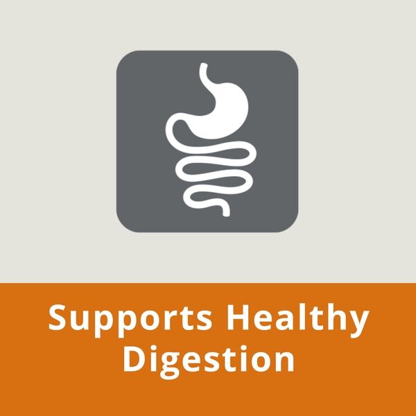 Junior Small Toy HPM Healty Digestion