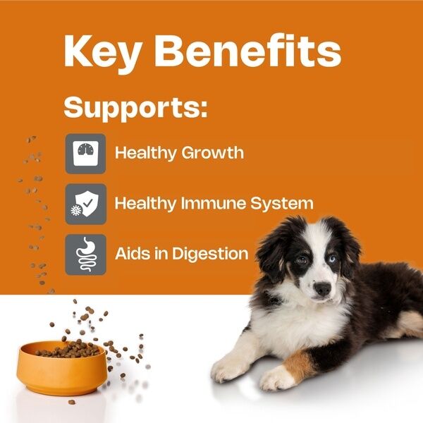 Junior small toy Dog HPM Key Benefits