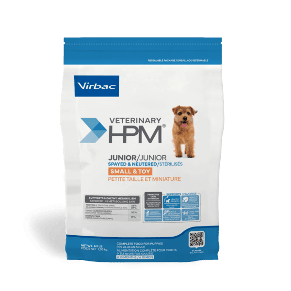 Switch_Jr_STDog_6.5lb_2000x2000_face