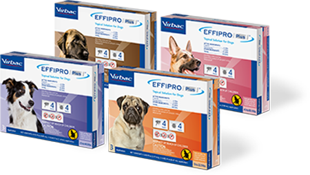 pep-effipro