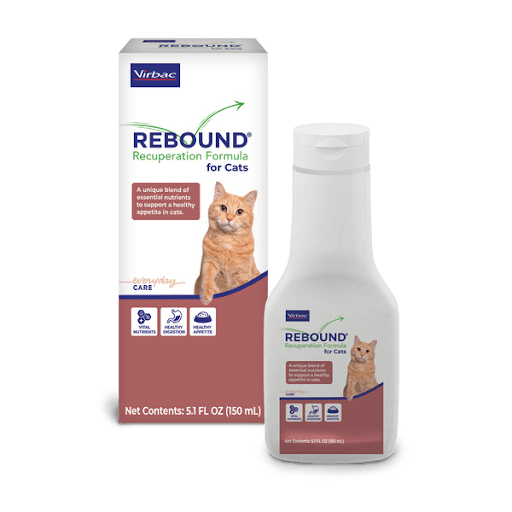 rebound-front-cat