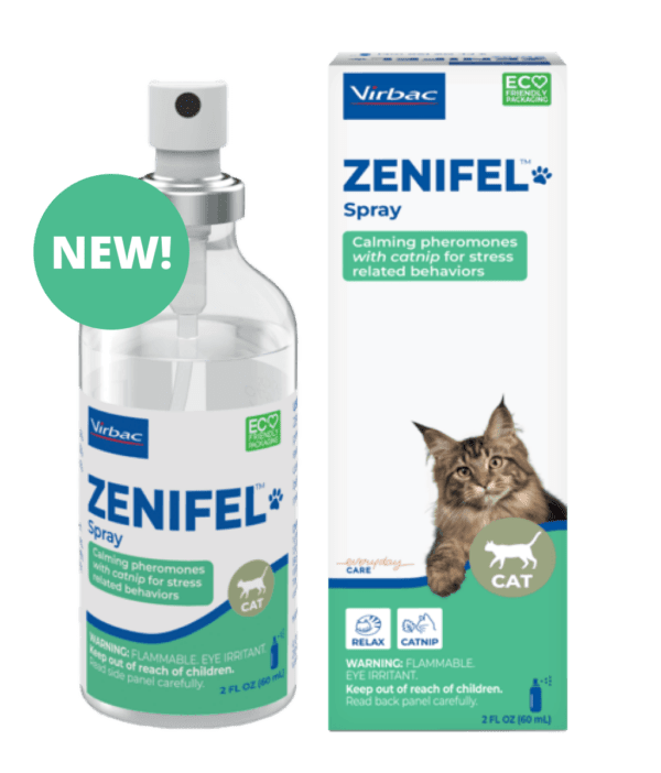 Zenifel Spray 60 mL