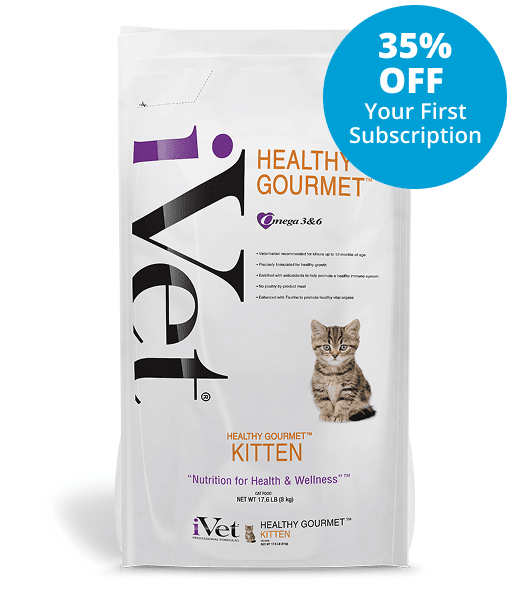 Healthy Gourmet Kitten Offer