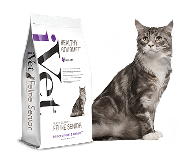 HealthyGourmet-Cat-Senior-Bag-withPets