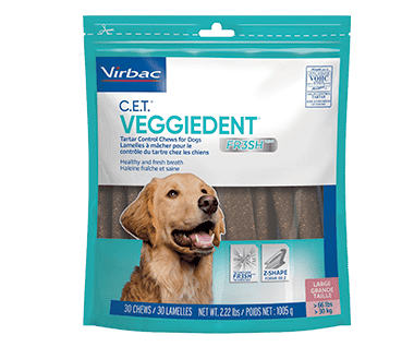 CET-Veggiedent-FR3SH