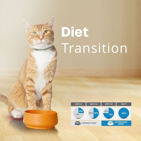 Adult Cat HPM Diet Transition