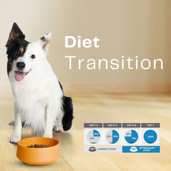 Adult Large Medium Dog HPM Diet Transition