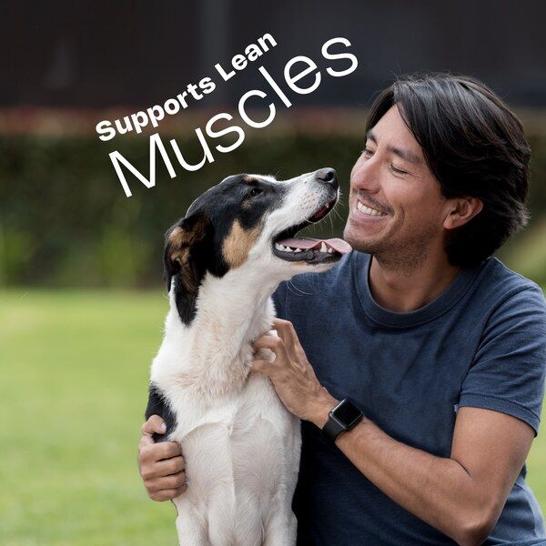 Adult Large Medium Dog HPM Lean Muscles