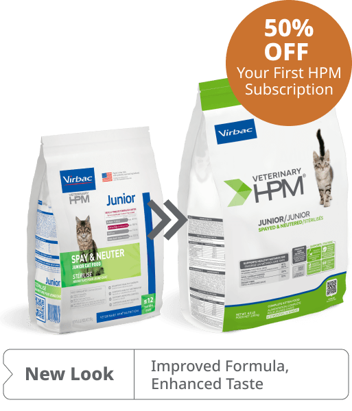 HPM Junior Cat New Look