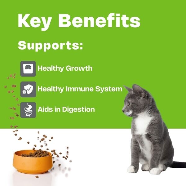Junior Cat HPM Key Benefits