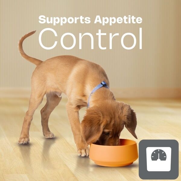 Junior Large Medium Dog HPM Appetite Control