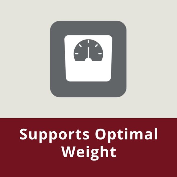 Junior Large Medium Dog HPM Optimal Weight