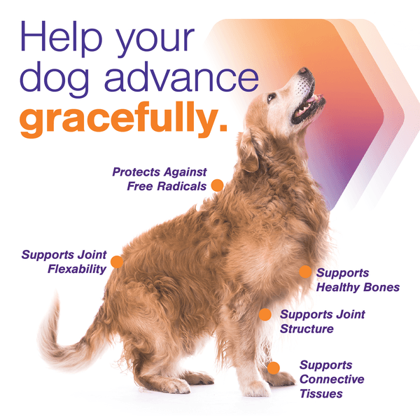 5_ADV MOVOFLEX SMALL STACK