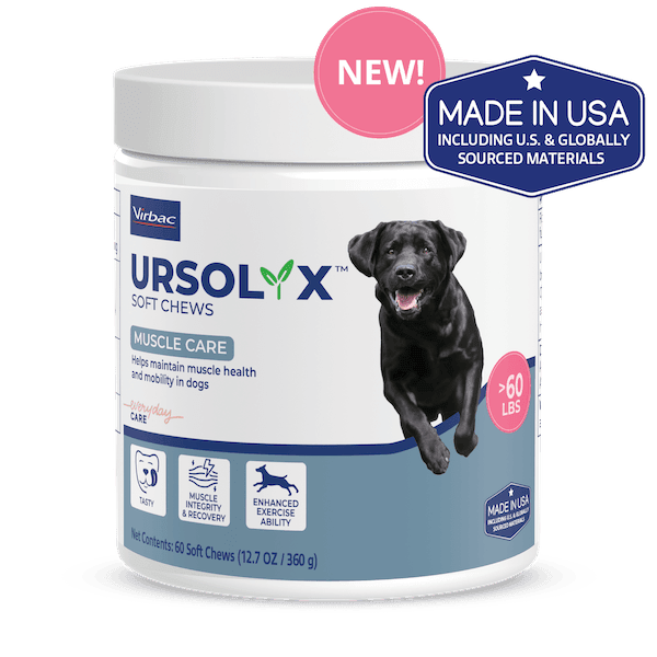 Ursolyx_LG_USA_Front-r2