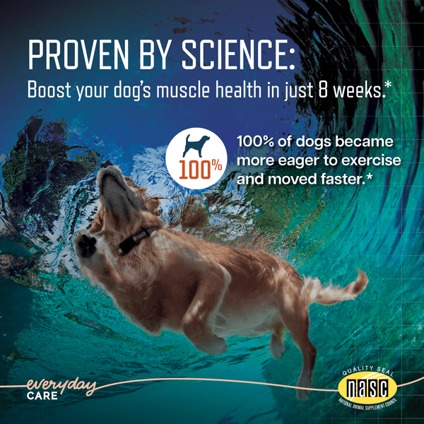 VBC-20032 Ursolyx Slide 2