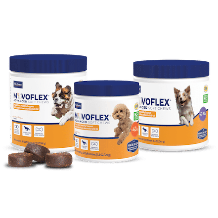 Movoflex Advanced