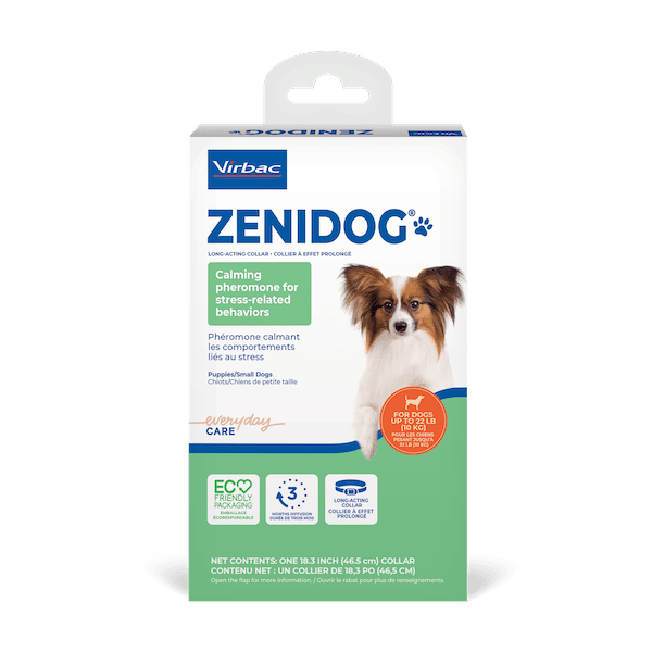 TP_Box_Zenidog_COL-x1-S-M_US_face